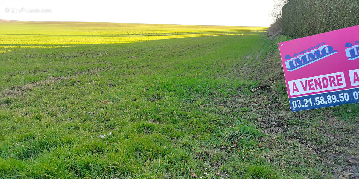 Terrain à AUBIGNY-EN-ARTOIS