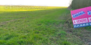 Terrain à AUBIGNY-EN-ARTOIS