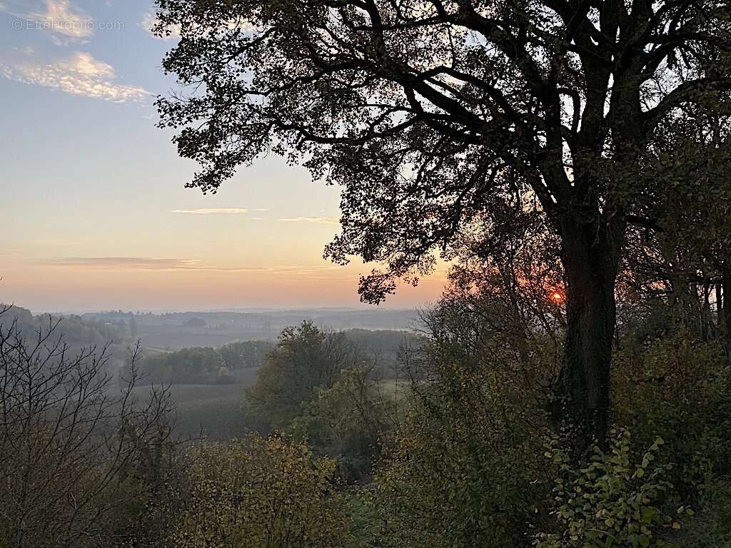 Maison à LOUBES-BERNAC