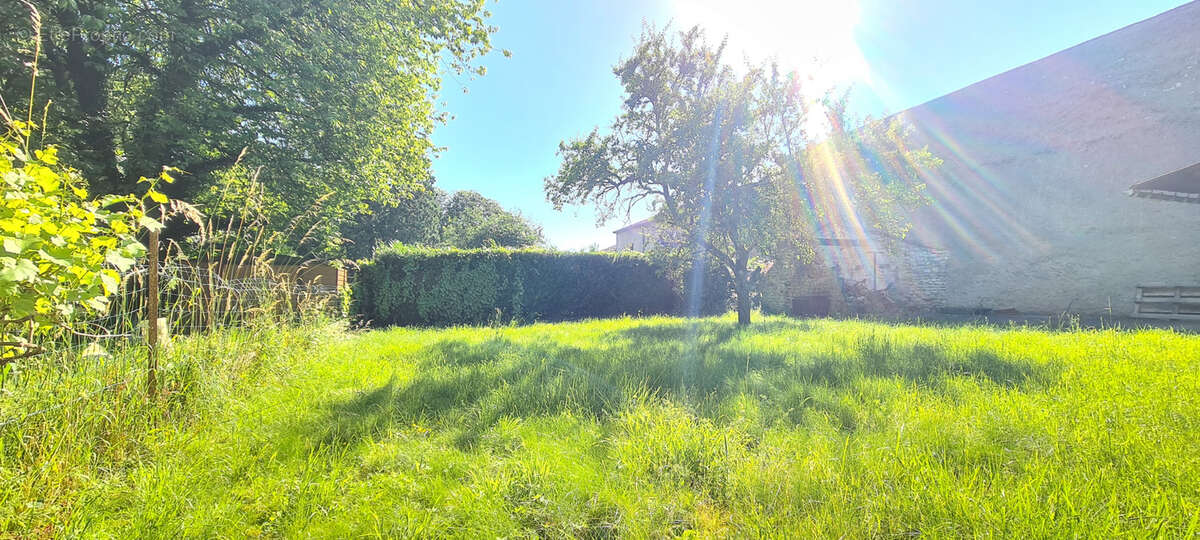 Maison à DOMBASLE-EN-ARGONNE