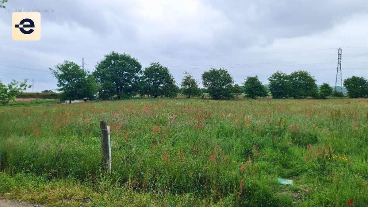 Terrain à LABASTIDE-VILLEFRANCHE