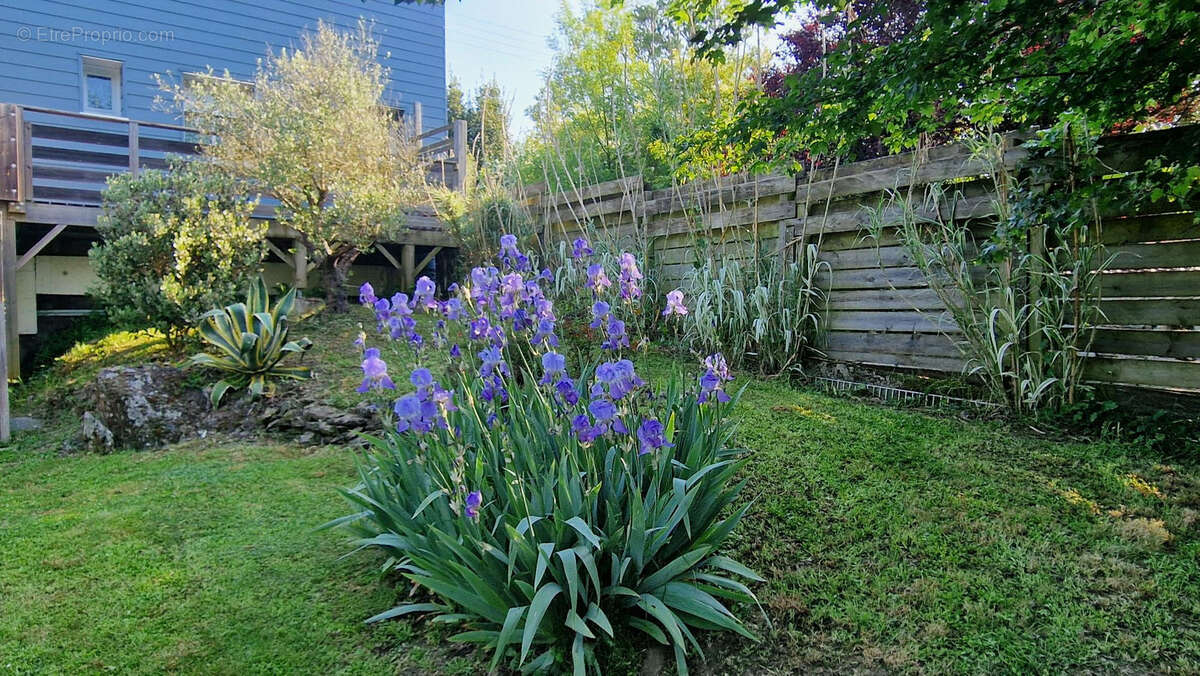 Maison à BOIS-DE-CENE