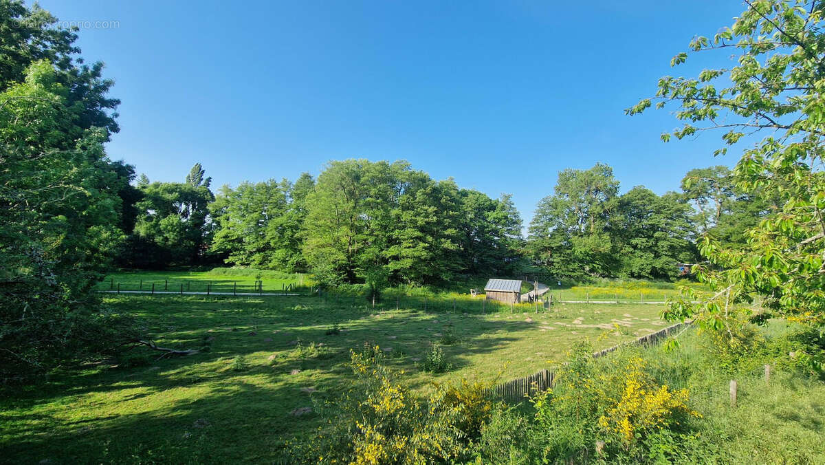 Maison à BOIS-DE-CENE