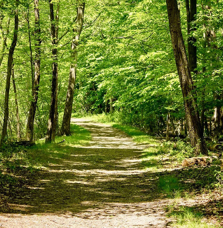 Terrain à LE PIAN-MEDOC