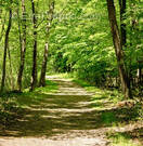 Terrain à LE PIAN-MEDOC