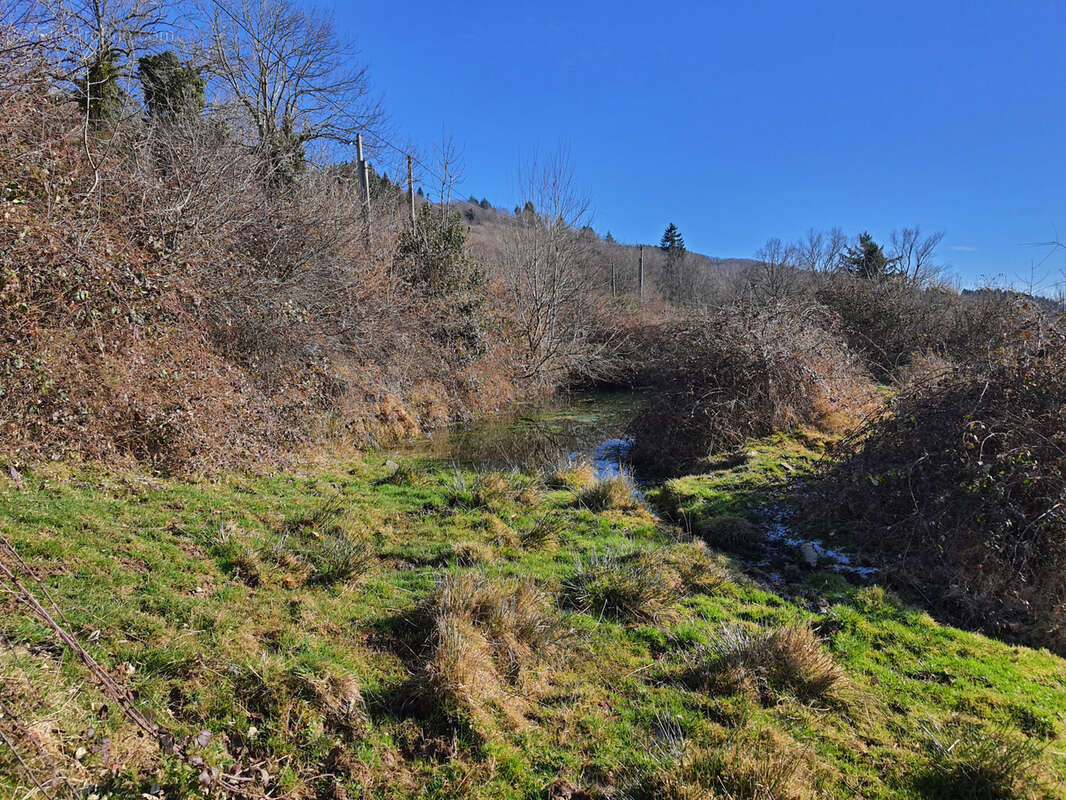 Terrain à CHAMPOLY