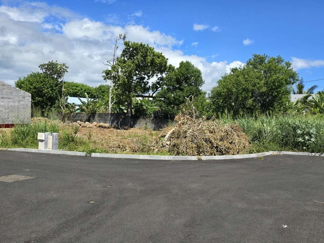 Terrain à SAINT-ANDRE