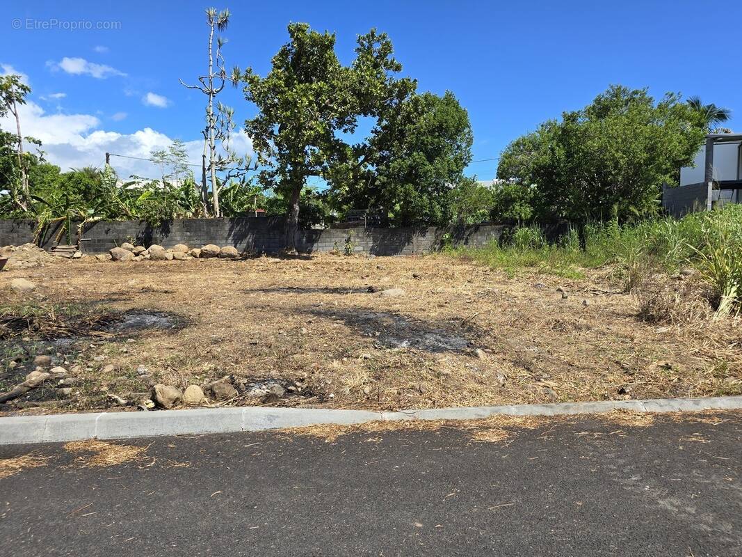 Terrain à SAINT-ANDRE