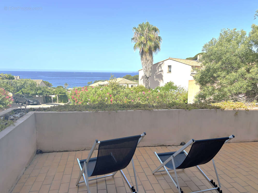 Appartement à PIETROSELLA