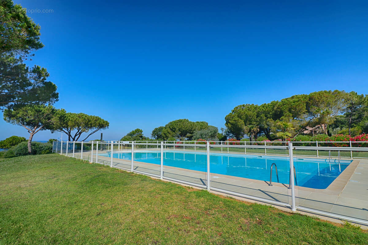 Appartement à PIETROSELLA