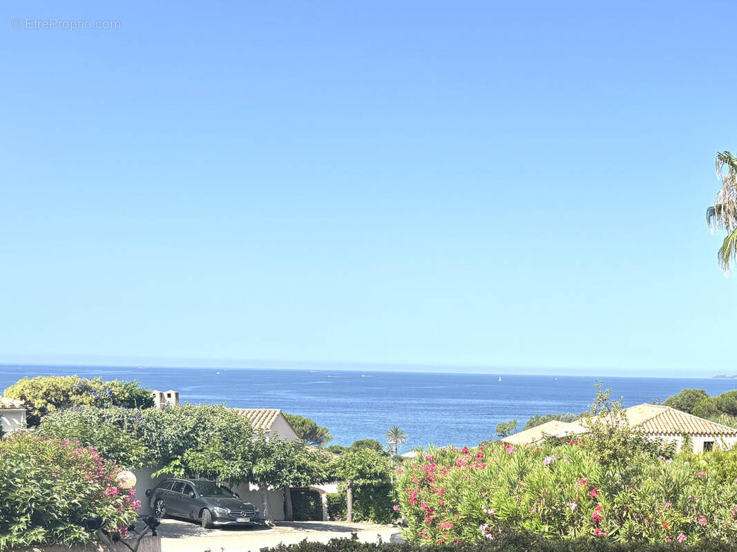 Appartement à PIETROSELLA