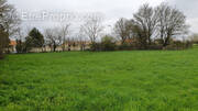 Terrain à SAINT-SATURNIN-DU-BOIS