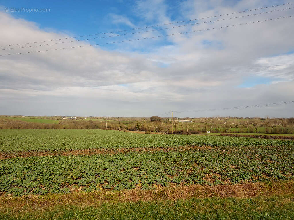 Maison à LA ROCHE-BLANCHE