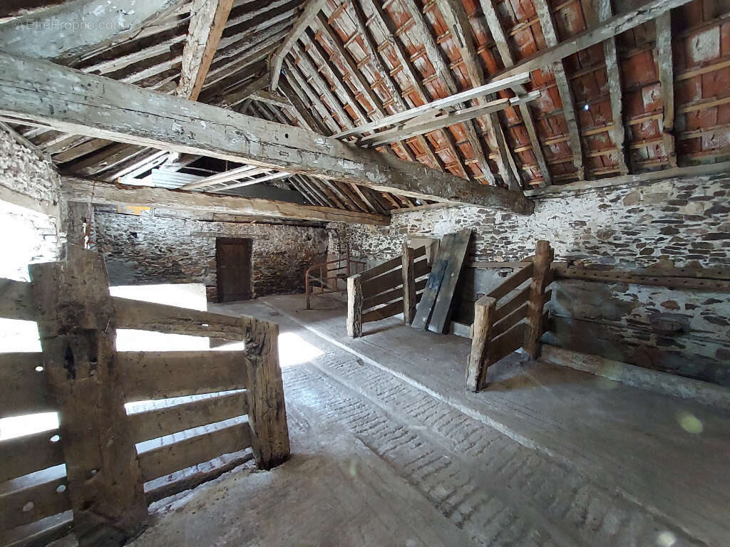 Maison à LA ROCHE-BLANCHE