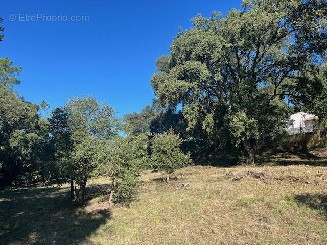 Terrain à VIDAUBAN