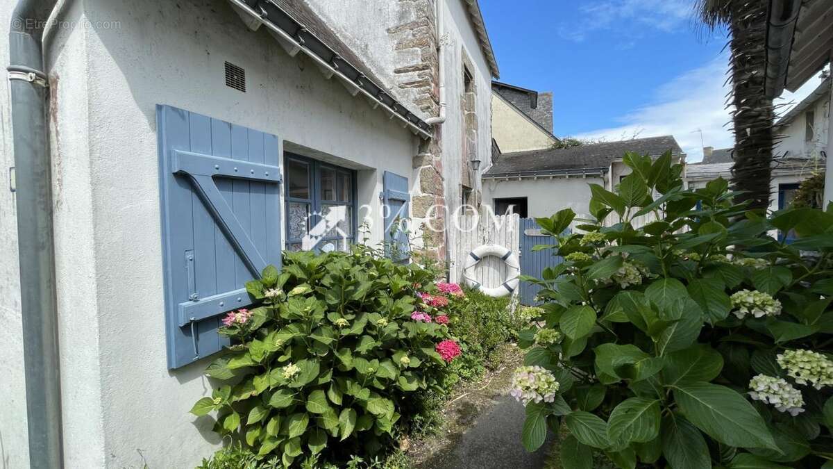 Maison à ILE-AUX-MOINES