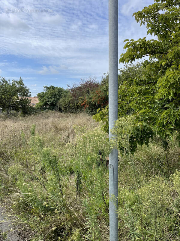 Maison à LE TAILLAN-MEDOC