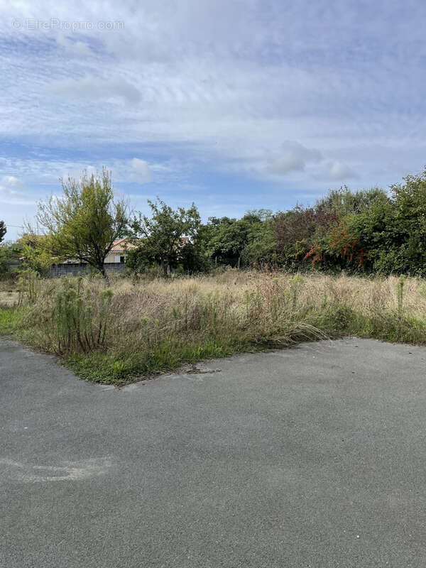 Maison à LE TAILLAN-MEDOC