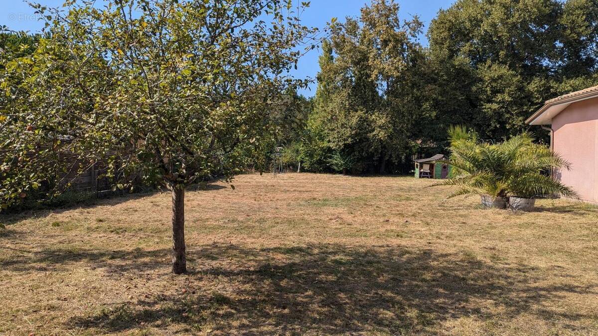 Photo 1 - Terrain à SAINT-MAGNE