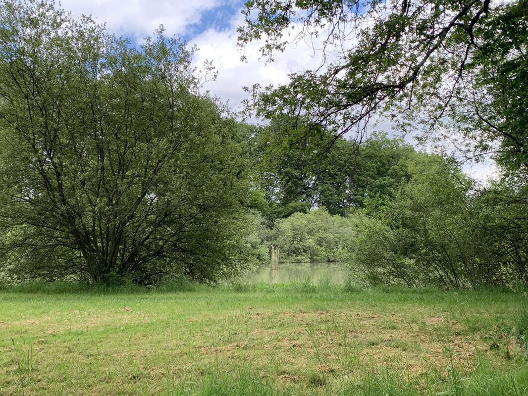 Maison à BAZOCHES-SUR-LE-BETZ