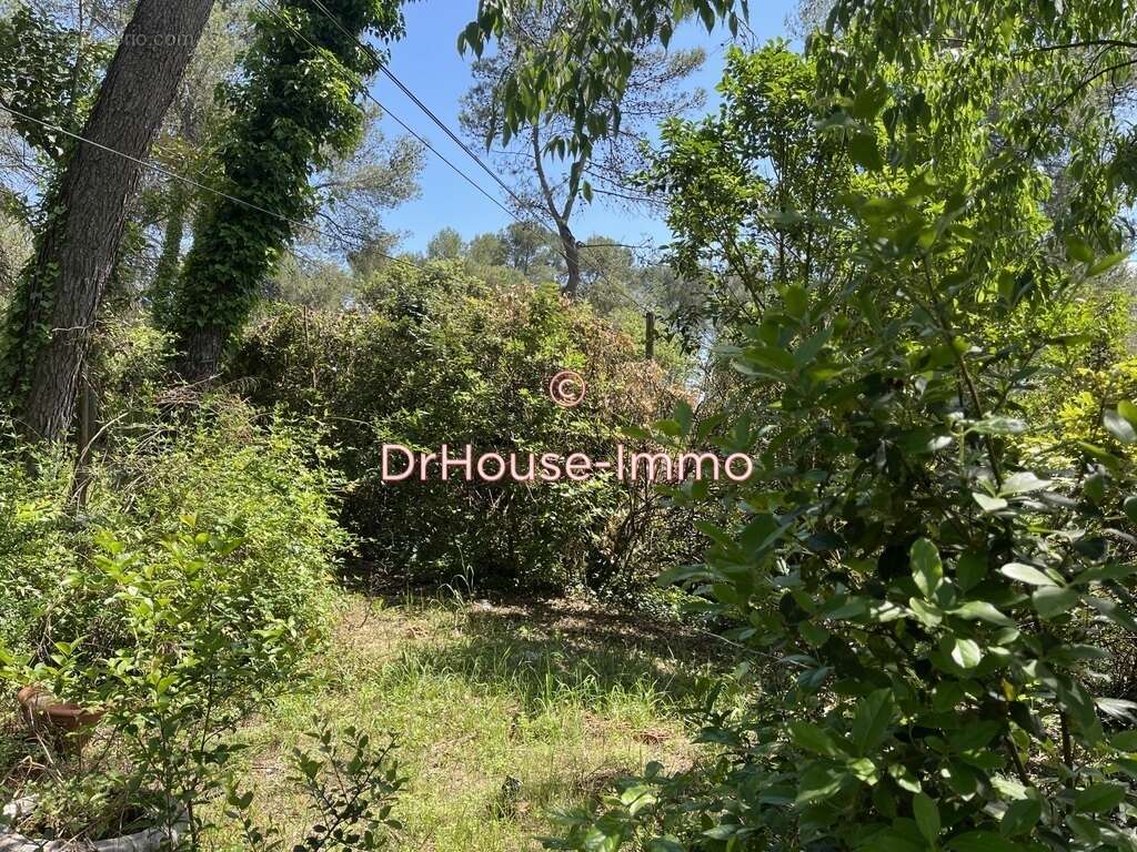 Terrain à MONTFERRIER-SUR-LEZ