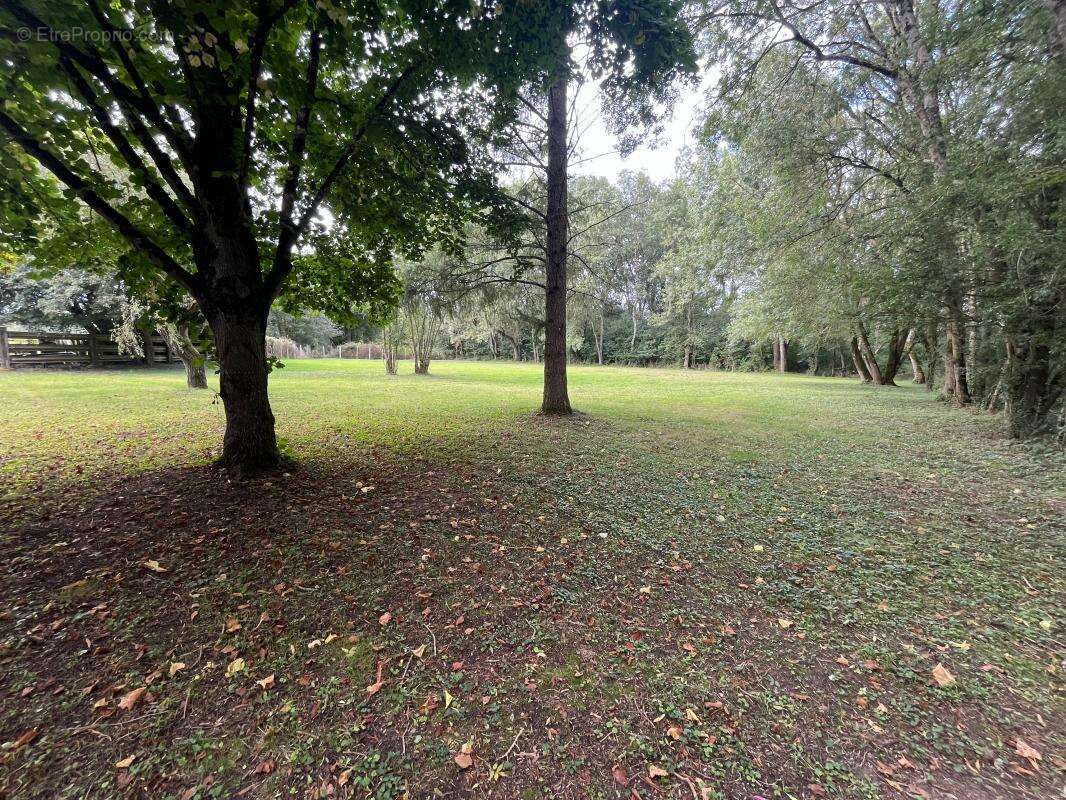 Terrain à VILLEFRANCHE-SUR-CHER