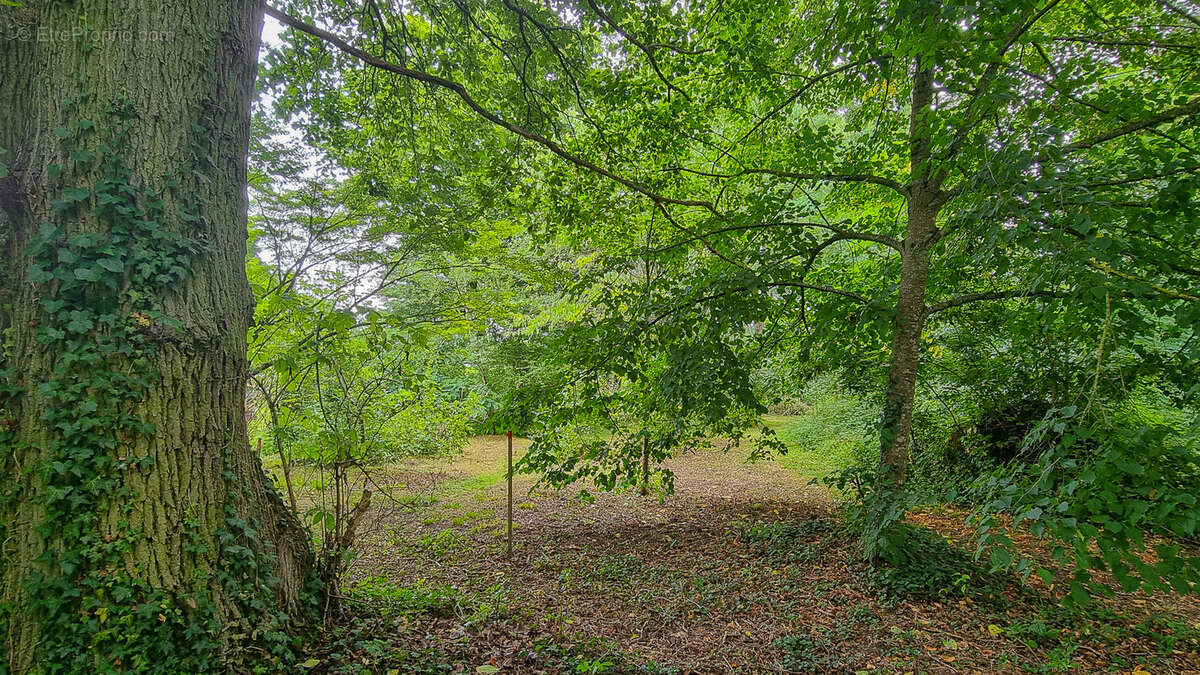 Maison à L&#039;ETANG-LA-VILLE
