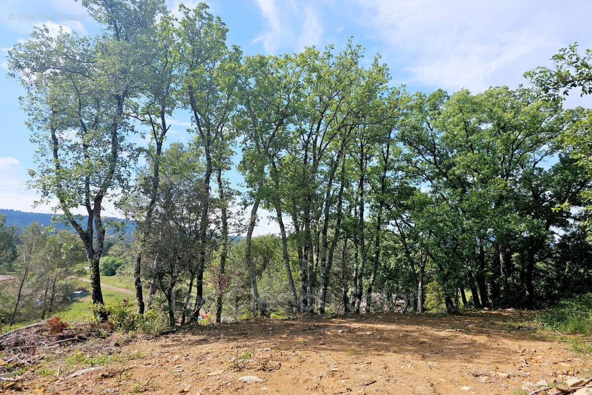 Terrain à CAMPS-LA-SOURCE