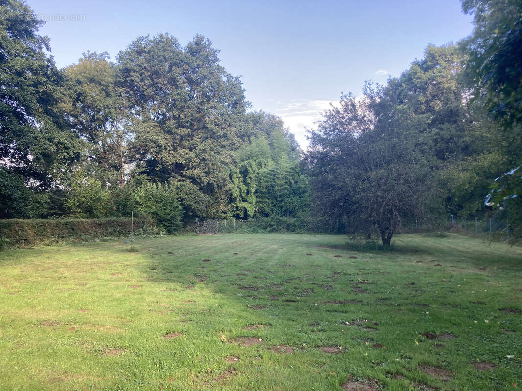 Maison à SAINT-MAURICE-DES-LIONS