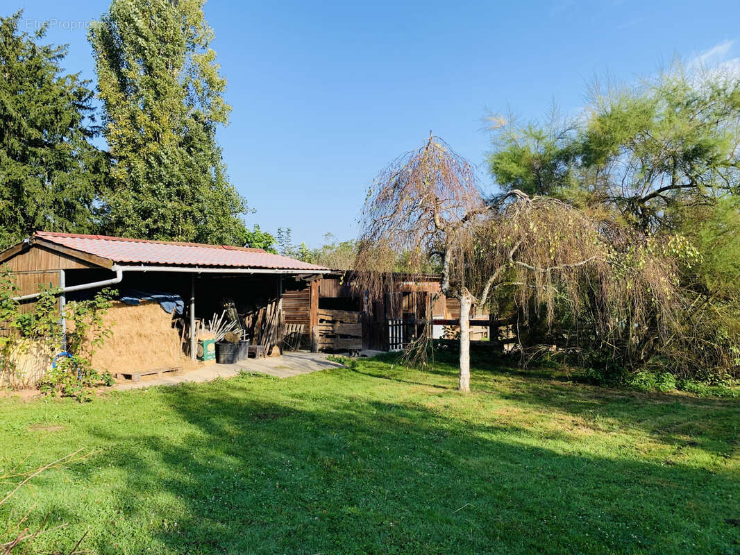 Maison à BAZOCHES-SUR-LE-BETZ