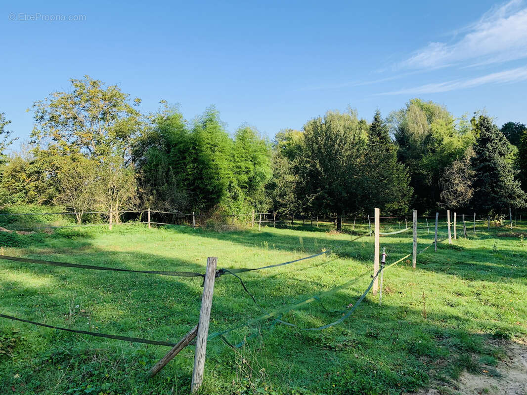 Maison à BAZOCHES-SUR-LE-BETZ