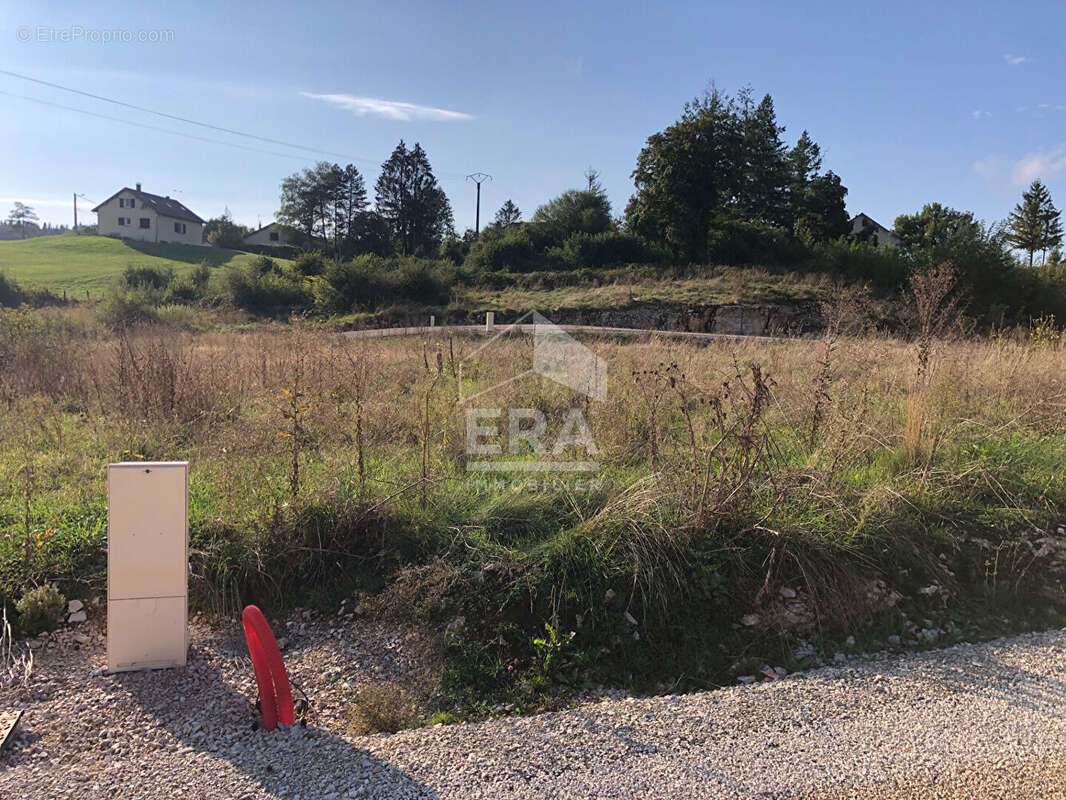 Terrain à L&#039;HOPITAL-DU-GROSBOIS