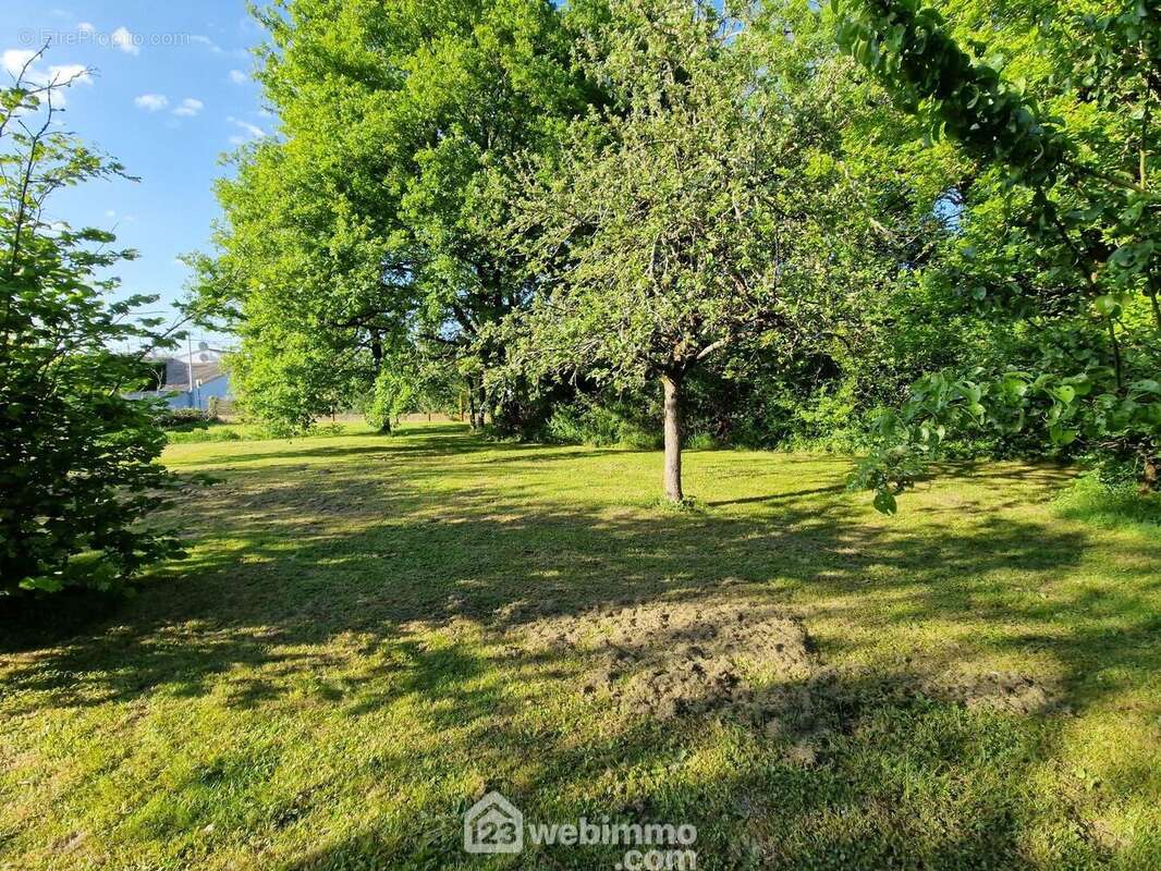 Terrain à VENANSAULT