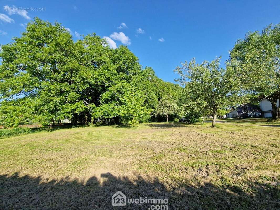 Terrain à VENANSAULT