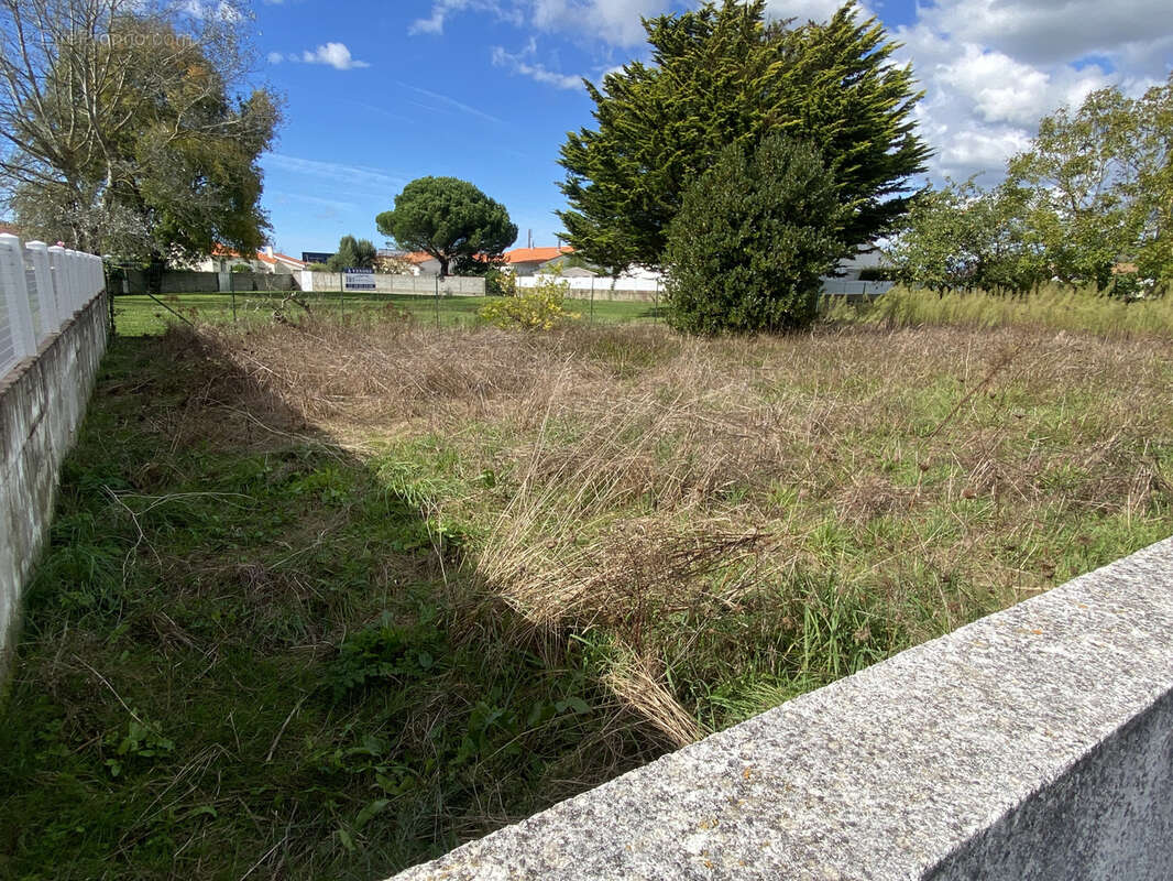 Terrain à LE FENOUILLER