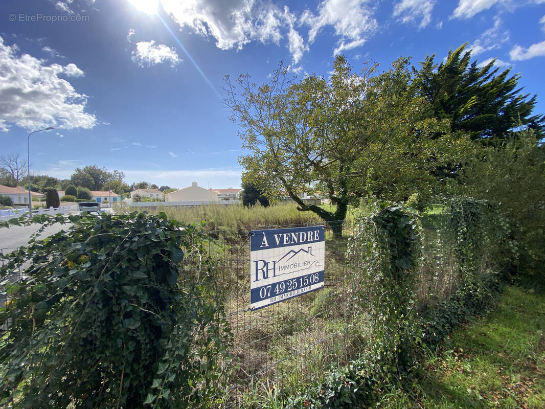 Terrain à LE FENOUILLER