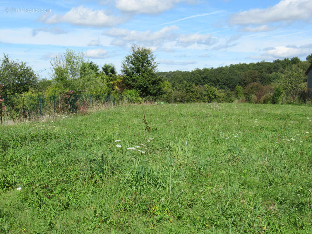 Terrain à AUBAREDE