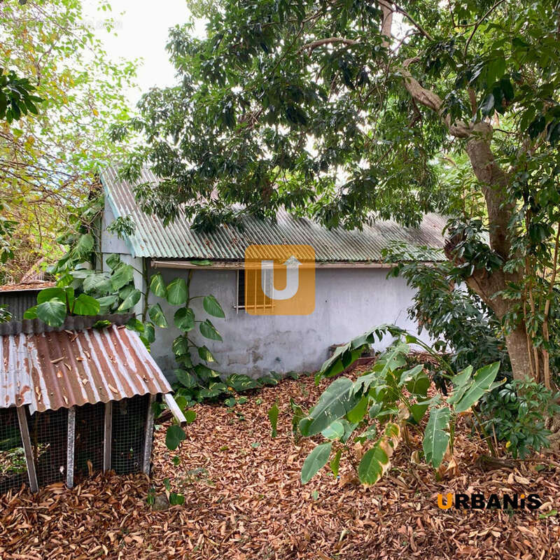 Terrain à LE TAMPON