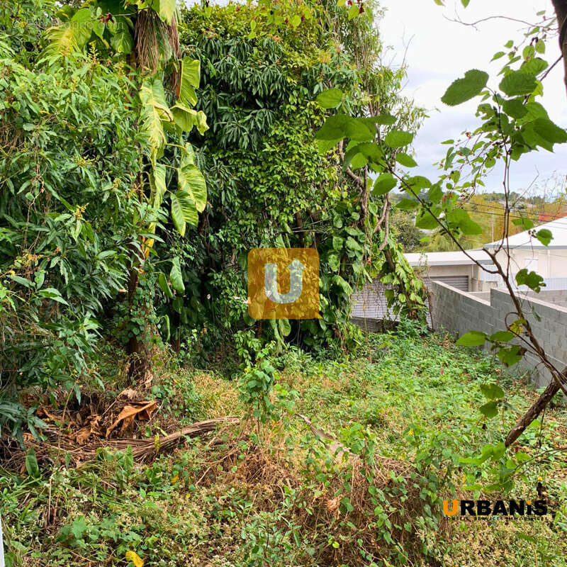 Terrain à LE TAMPON