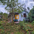 Terrain à LE TAMPON