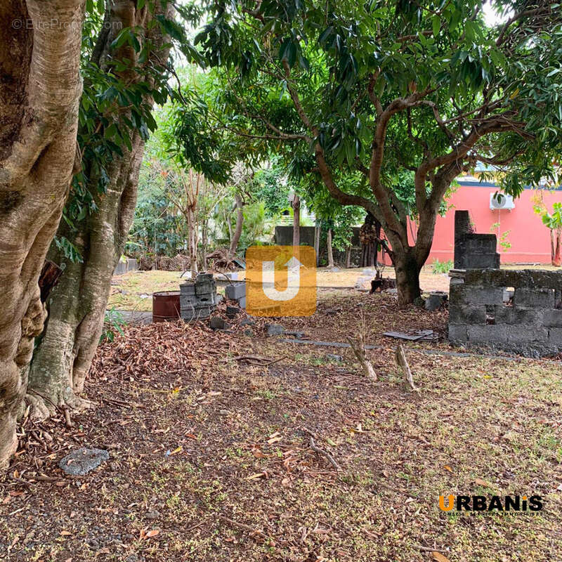 Terrain à LE TAMPON