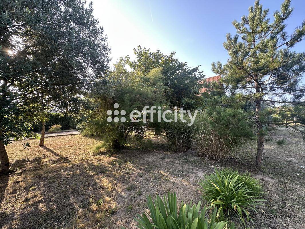 Maison à SAINT-SEURIN-DE-PRATS