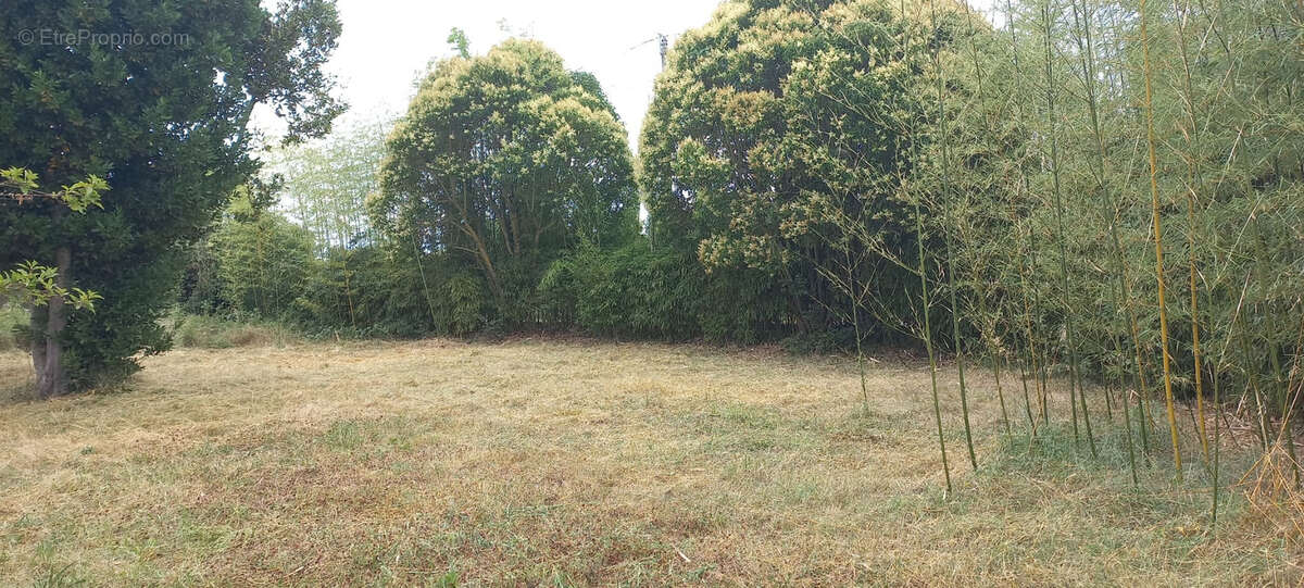 Terrain à CUGNAUX