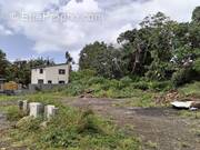 Terrain à SAINTE-SUZANNE