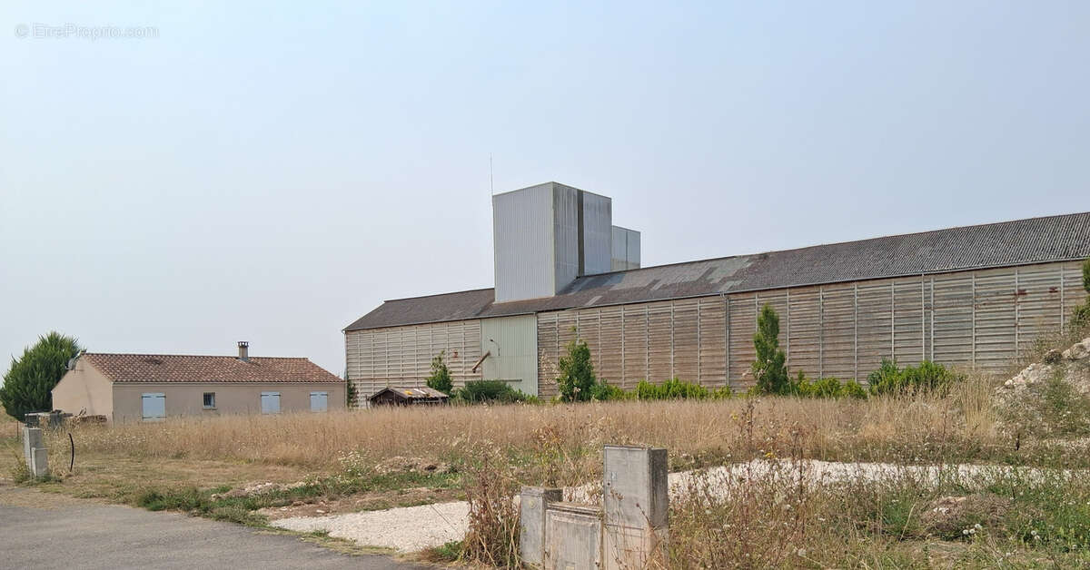 Terrain à SAINT-GENIS-DE-SAINTONGE