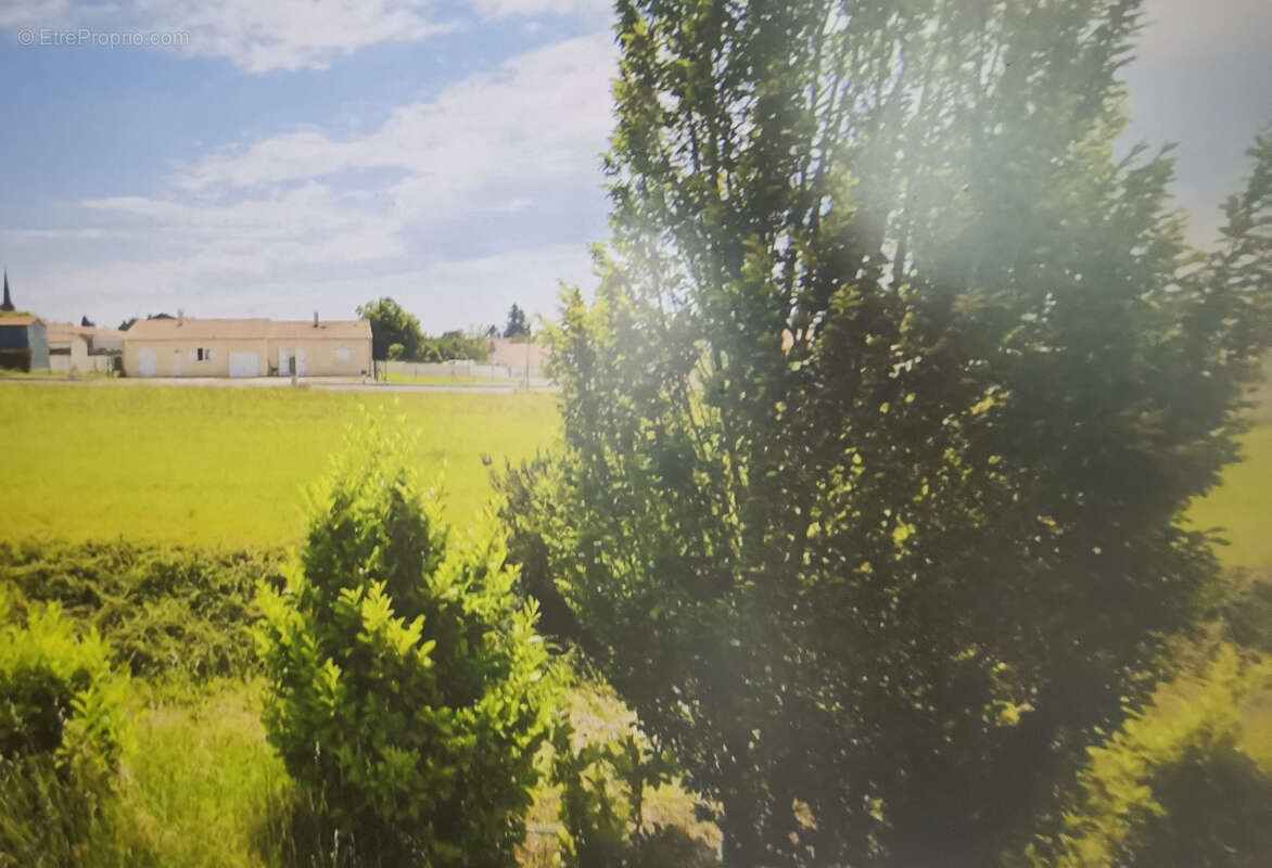 Terrain à SAINT-GENIS-DE-SAINTONGE