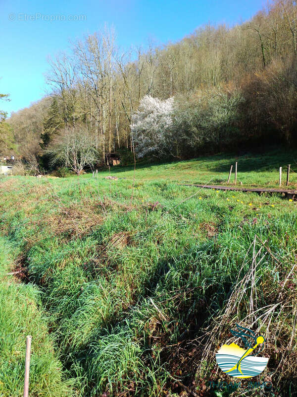 Terrain à SAINT-FAUST