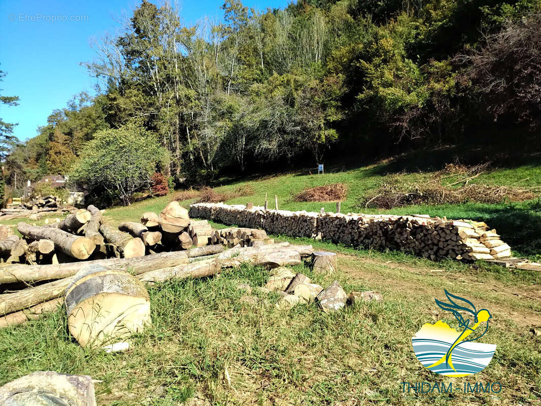 Terrain à SAINT-FAUST