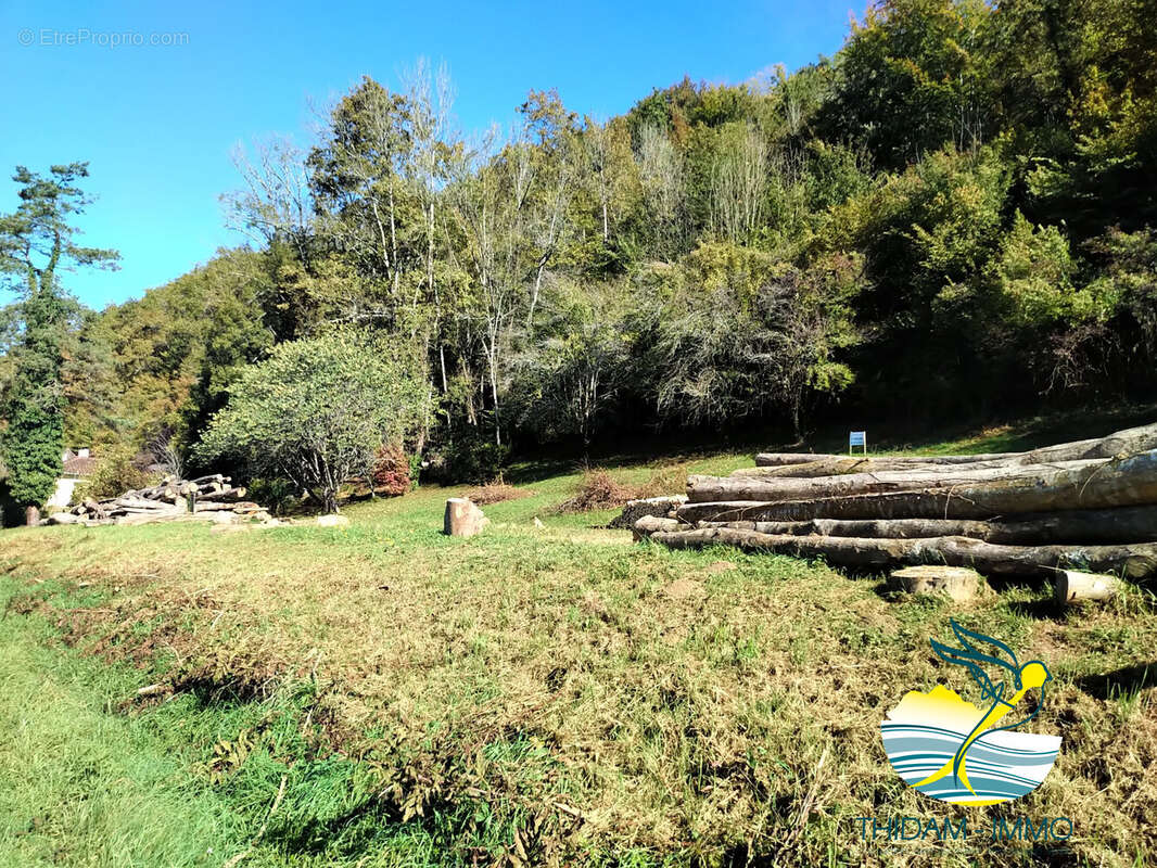 Terrain à SAINT-FAUST