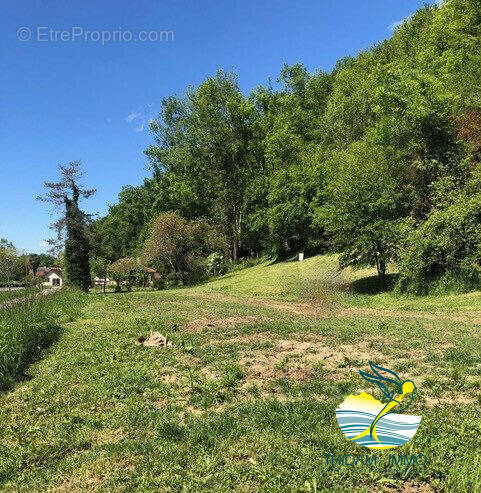 Terrain à SAINT-FAUST